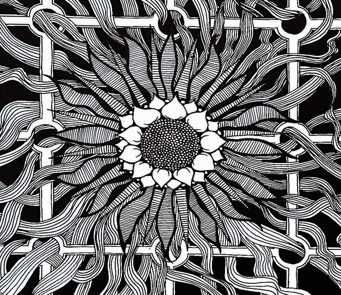 Abstract Geometric Line Art Print, Modern Organic Black White, Illustration, Monochrome Fine Print, Contemporary Decor