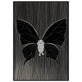 Butterfly Illustration, Symbolic Poster, Black White Fine Print, Contemporary Decor